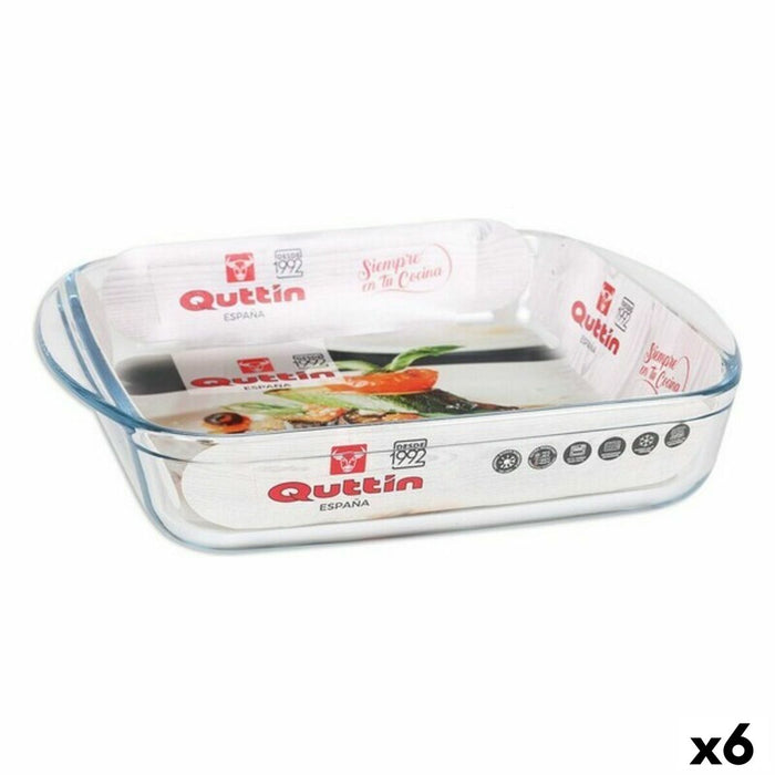Køkkenspringvand Quttin 63081 1,6 L Glas 25 x 21,9 x 5 cm (6 enheder)