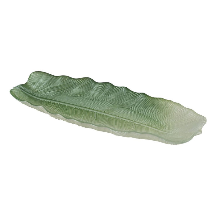 Bakke Grøn Blad af en plante 40 cm